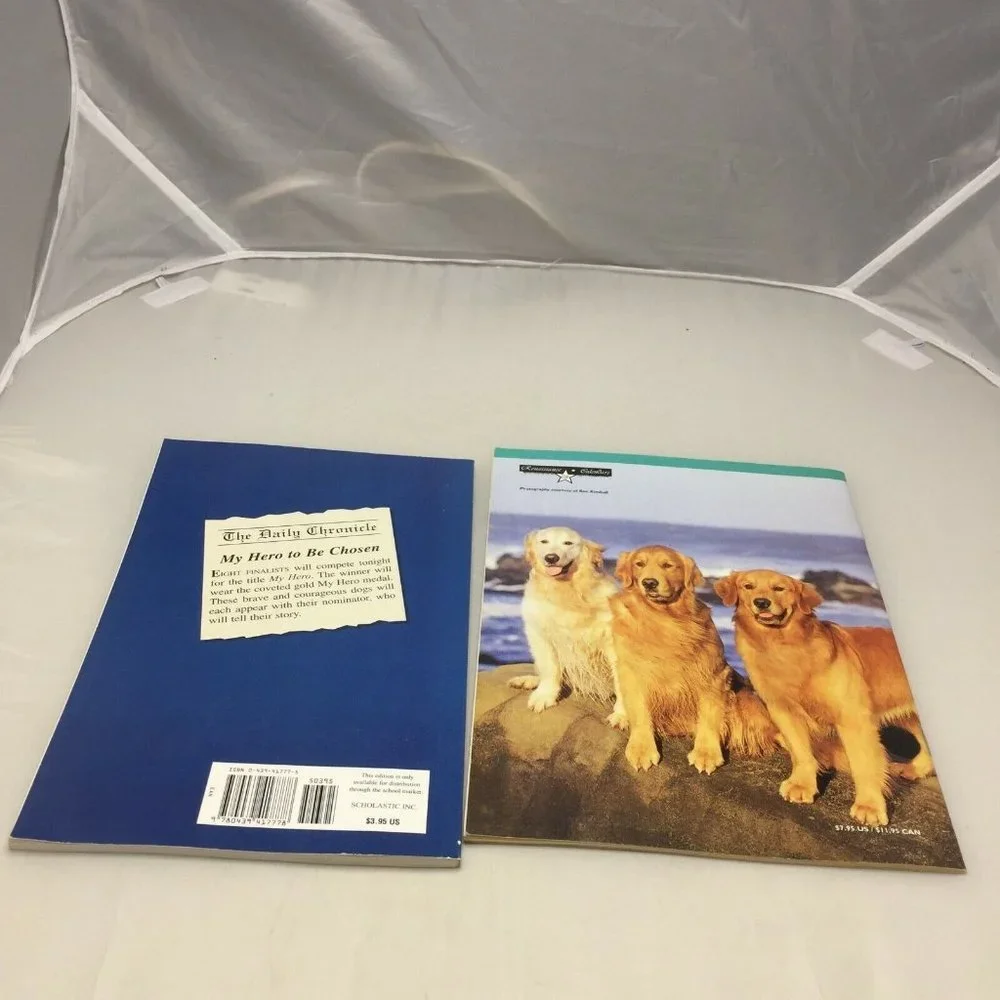 Puppies & Dogs My Dog My Hero 2001 Desk Calendar Story Books